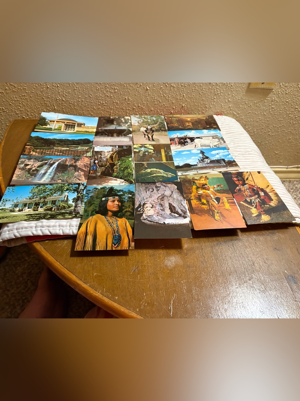 Vintage Native American & Scenic Postcard Lot - Multicolor (15)